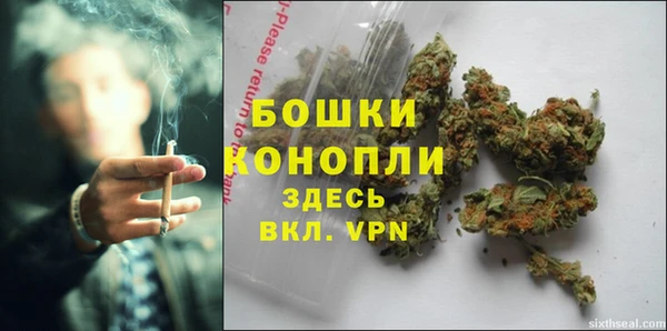 прущие крисы Гусев