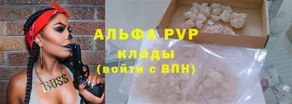 прущие крисы Гусев