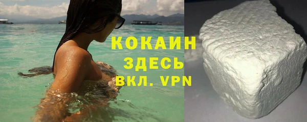 прущие крисы Гусев