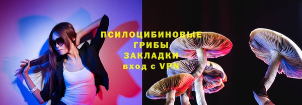 PSILOCYBIN Гусь-Хрустальный