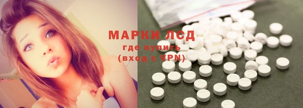 PSILOCYBIN Гусь-Хрустальный