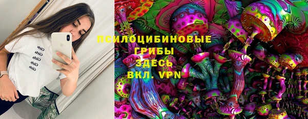 дмт Гусиноозёрск