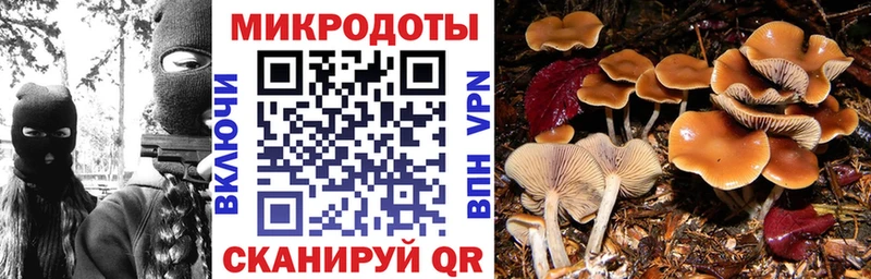 Псилоцибиновые грибы мухоморы  Ростов-на-Дону 